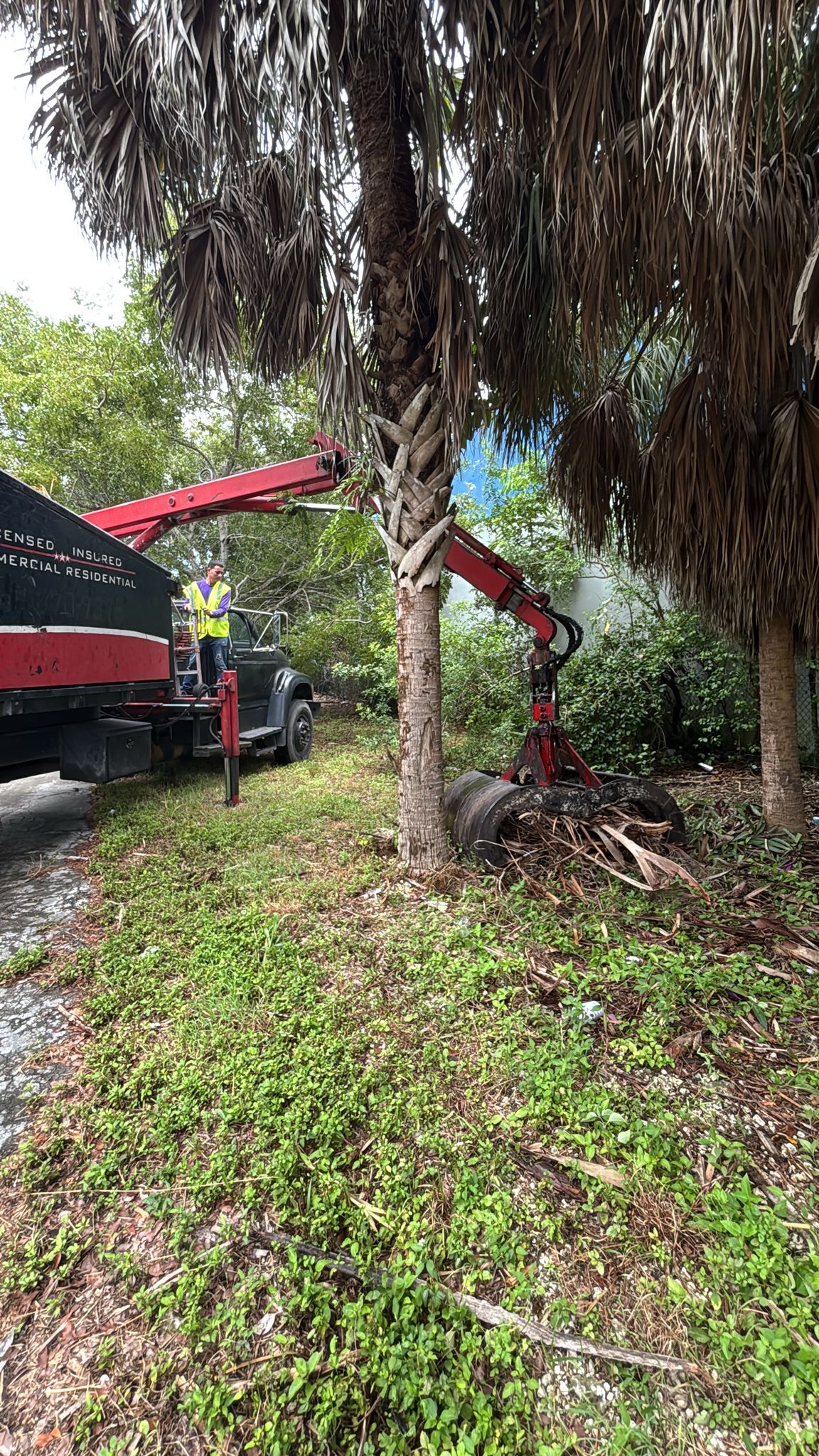 Landscaping showcase 1