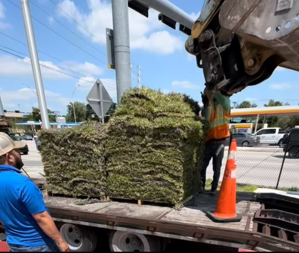 Landscaping showcase 3